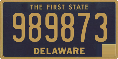 DE license plate 989873