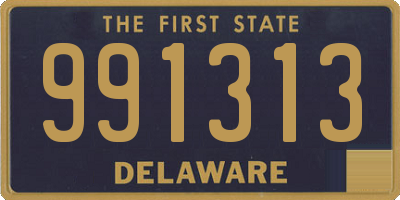 DE license plate 991313