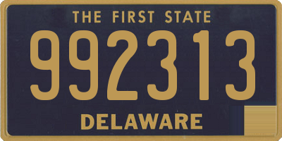 DE license plate 992313