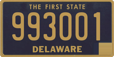 DE license plate 993001