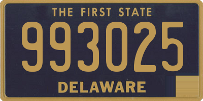 DE license plate 993025