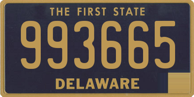 DE license plate 993665