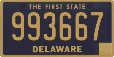 DE license plate 993667