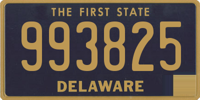 DE license plate 993825