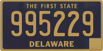 DE license plate 995229