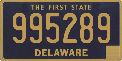 DE license plate 995289