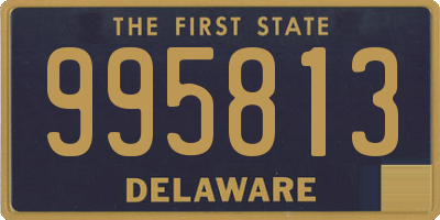 DE license plate 995813