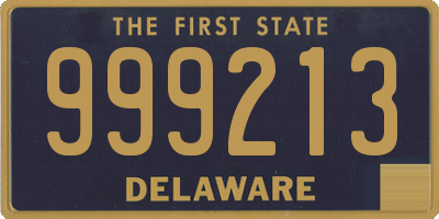 DE license plate 999213