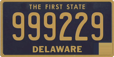 DE license plate 999229