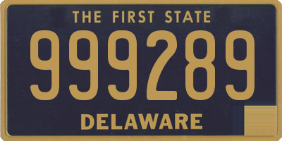 DE license plate 999289