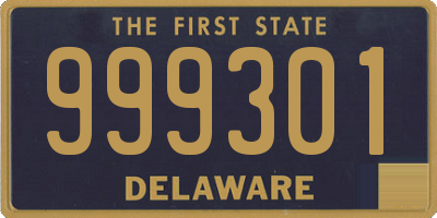 DE license plate 999301