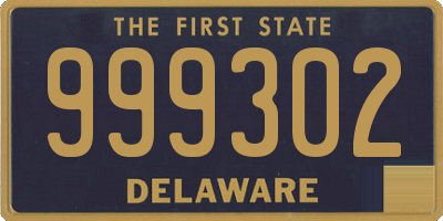 DE license plate 999302