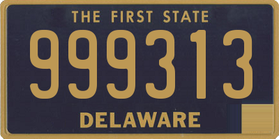 DE license plate 999313