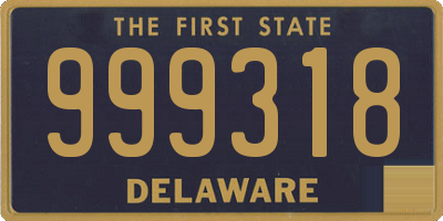 DE license plate 999318