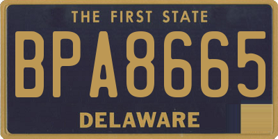 DE license plate BPA8665