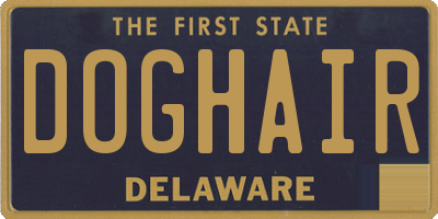 DE license plate DOGHAIR
