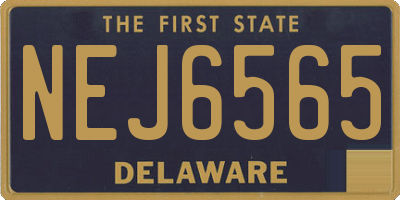 DE license plate NEJ6565