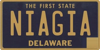 DE license plate NIAGIA