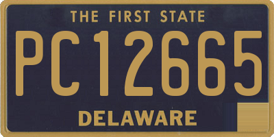 DE license plate PC12665