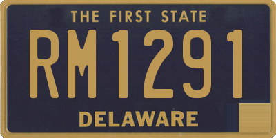 DE license plate RM1291