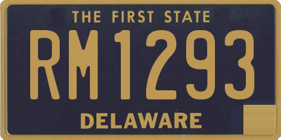 DE license plate RM1293