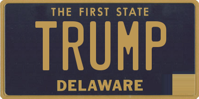 DE license plate TRUMP