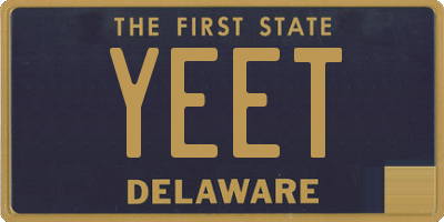 DE license plate YEET