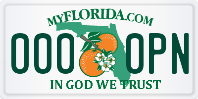 FL license plate 0000PN