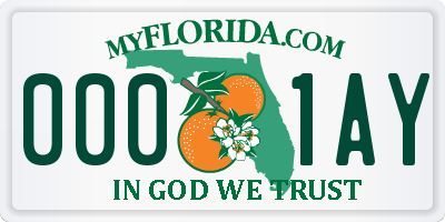 FL license plate 0001AY