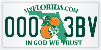 FL license plate 0003BV