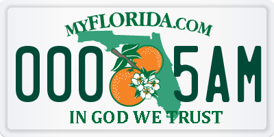 FL license plate 0005AM