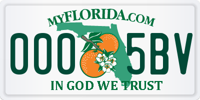 FL license plate 0005BV