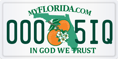 FL license plate 0005IQ