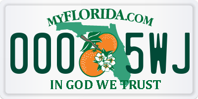 FL license plate 0005WJ