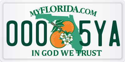 FL license plate 0005YA