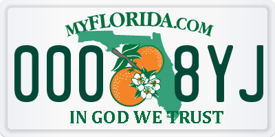 FL license plate 0008YJ