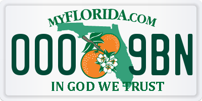 FL license plate 0009BN