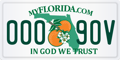 FL license plate 0009OV