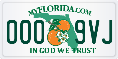 FL license plate 0009VJ