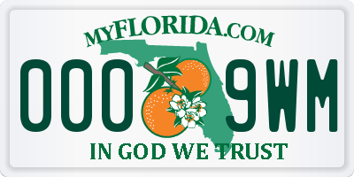 FL license plate 0009WM
