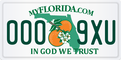 FL license plate 0009XU