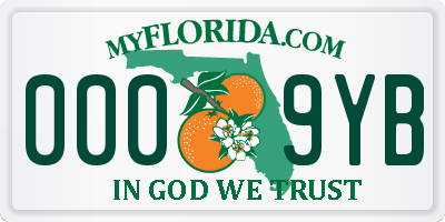 FL license plate 0009YB