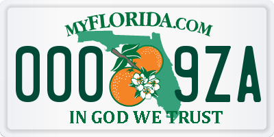 FL license plate 0009ZA
