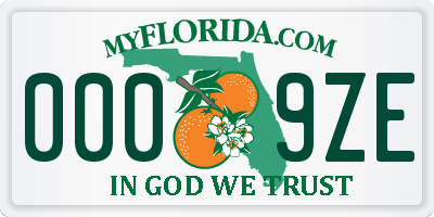 FL license plate 0009ZE