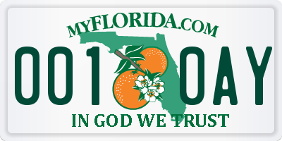 FL license plate 0010AY