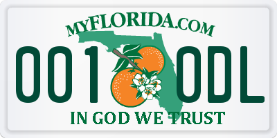 FL license plate 0010DL