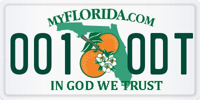 FL license plate 0010DT