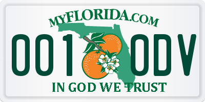 FL license plate 0010DV