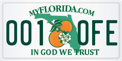 FL license plate 0010FE