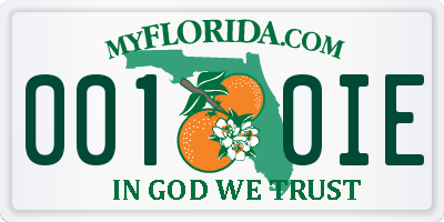 FL license plate 0010IE